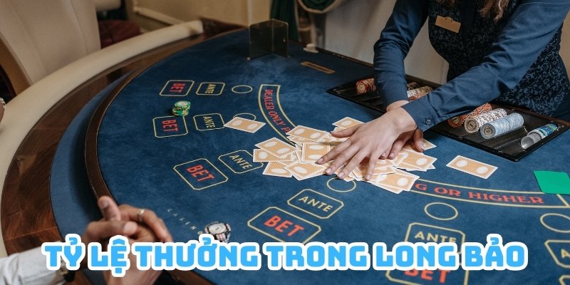 Tỷ lệ thưởng trong cửa cược Long Bảo có thể bạn chưa biết